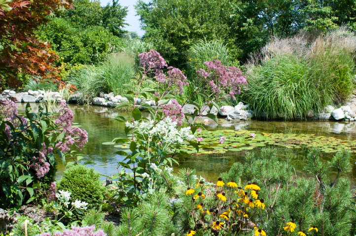 Radiology Healing Gardens | Department of Radiology